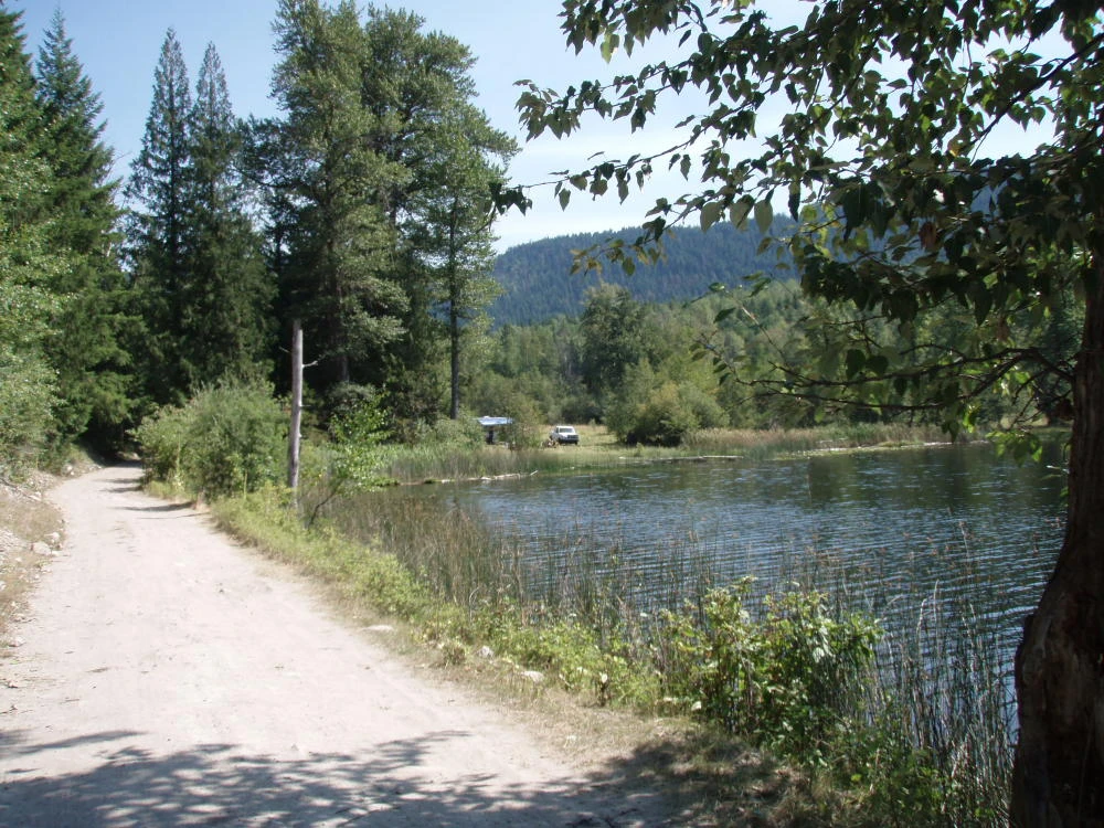 Photo: Recreation Sites and Trails BC. © Province of British Columbia, licensed under the Open Government Licence – British Columbia. Harper Lake, photo 13