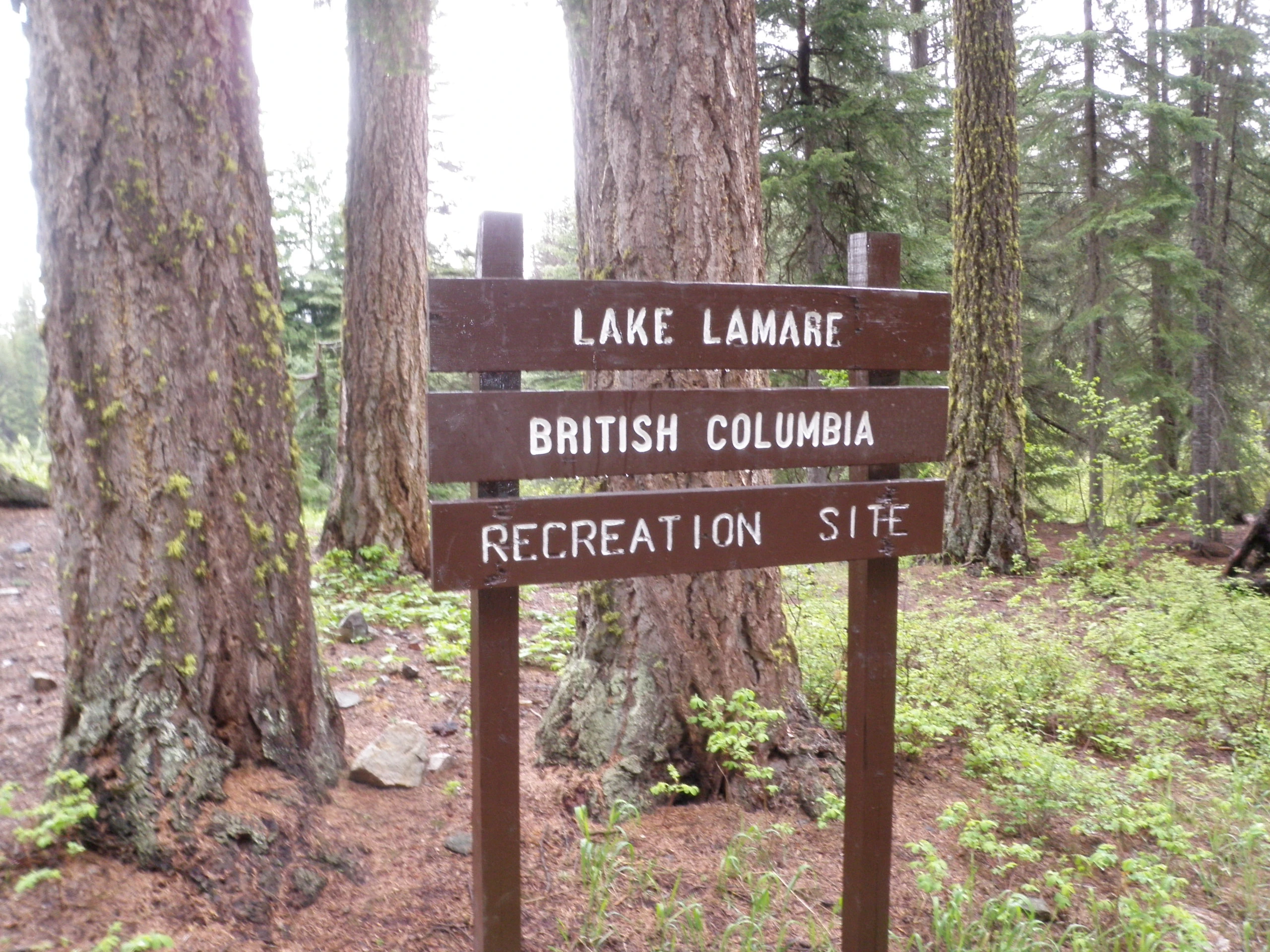 Photo: Recreation Sites and Trails BC. © Province of British Columbia, licensed under the Open Government Licence – British Columbia. Lake La Mare, photo 4