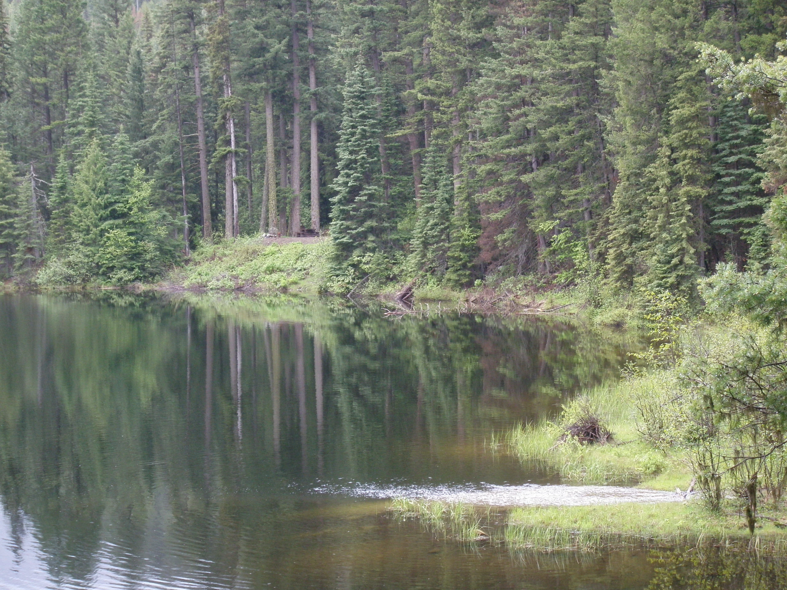 Photo: Recreation Sites and Trails BC. © Province of British Columbia, licensed under the Open Government Licence – British Columbia. Lake La Mare, photo 3