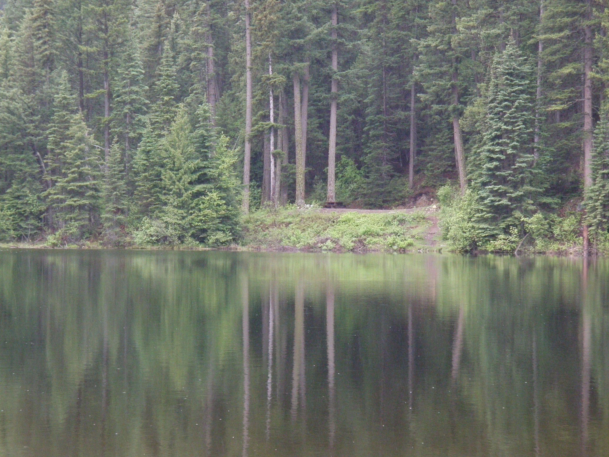 Photo: Recreation Sites and Trails BC. © Province of British Columbia, licensed under the Open Government Licence – British Columbia. Lake La Mare, photo 2