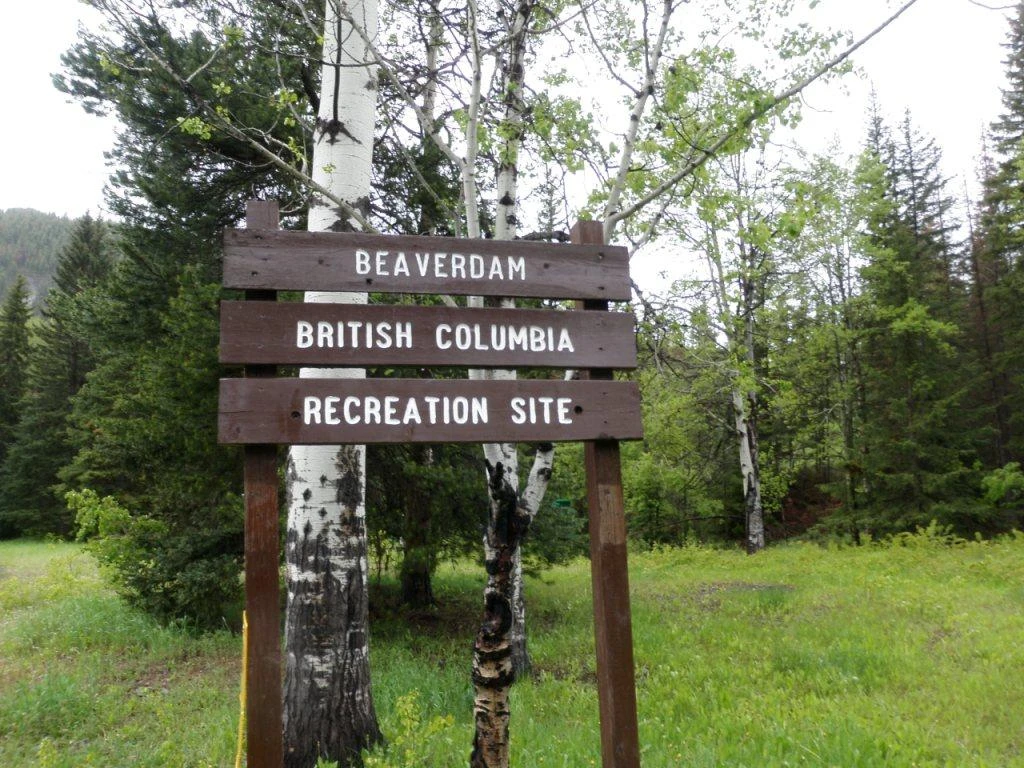 Photo: Recreation Sites and Trails BC. © Province of British Columbia, licensed under the Open Government Licence – British Columbia. Beaverdam Creek, photo 3