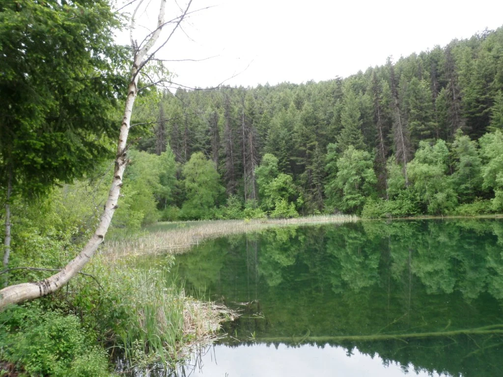 Photo: Recreation Sites and Trails BC. © Province of British Columbia, licensed under the Open Government Licence – British Columbia. Carol Lake, photo 4