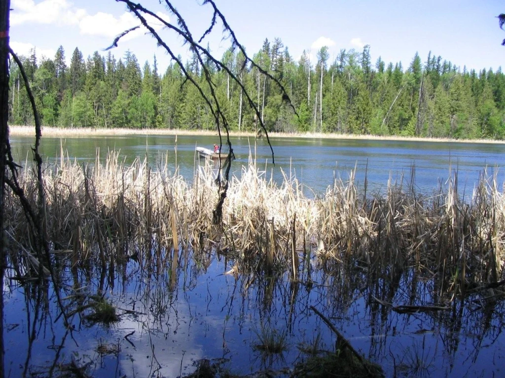 Bardolph Lake