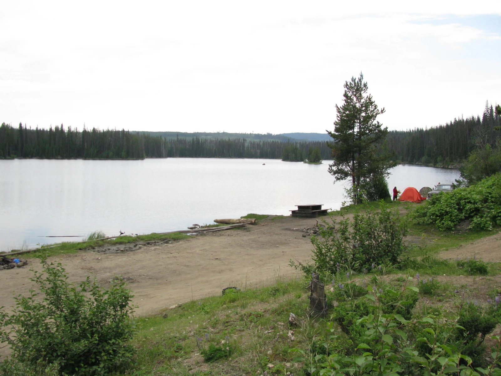 Photo: Recreation Sites and Trails BC. © Province of British Columbia, licensed under the Open Government Licence – British Columbia. King Edward Lake North, photo 5