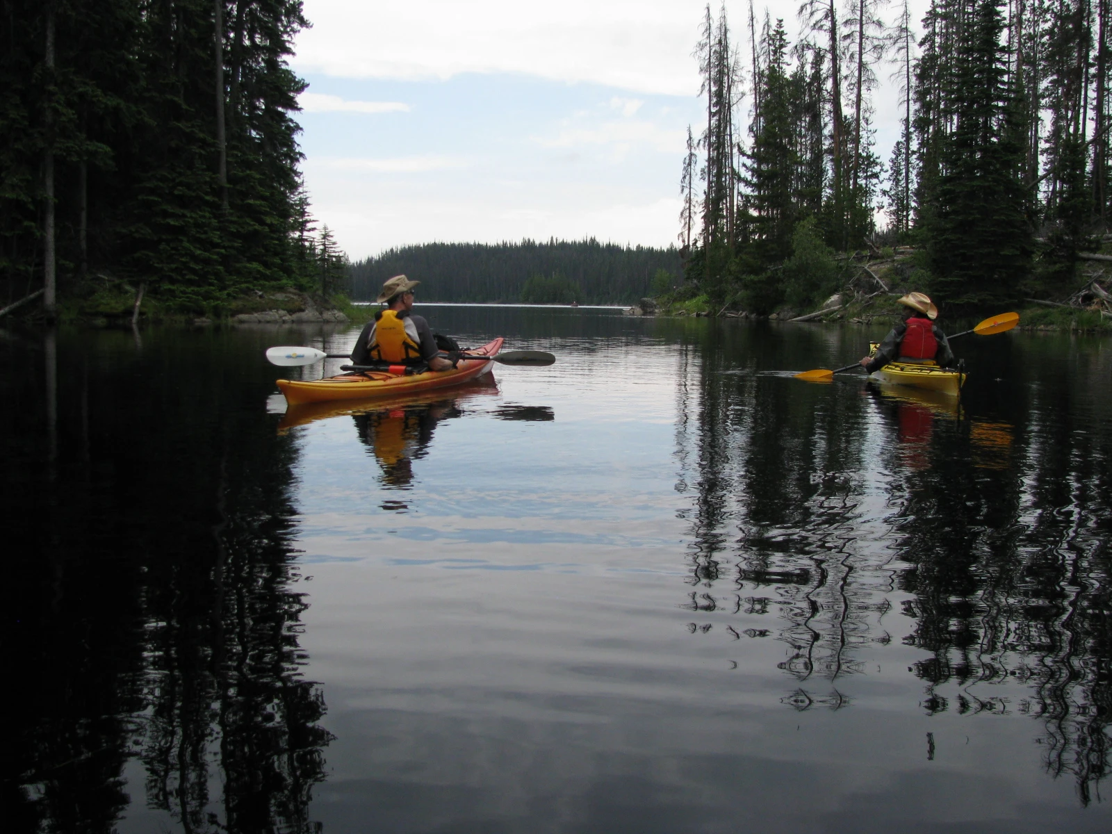 Photo: Recreation Sites and Trails BC. © Province of British Columbia, licensed under the Open Government Licence – British Columbia. King Edward Lake North, photo 2