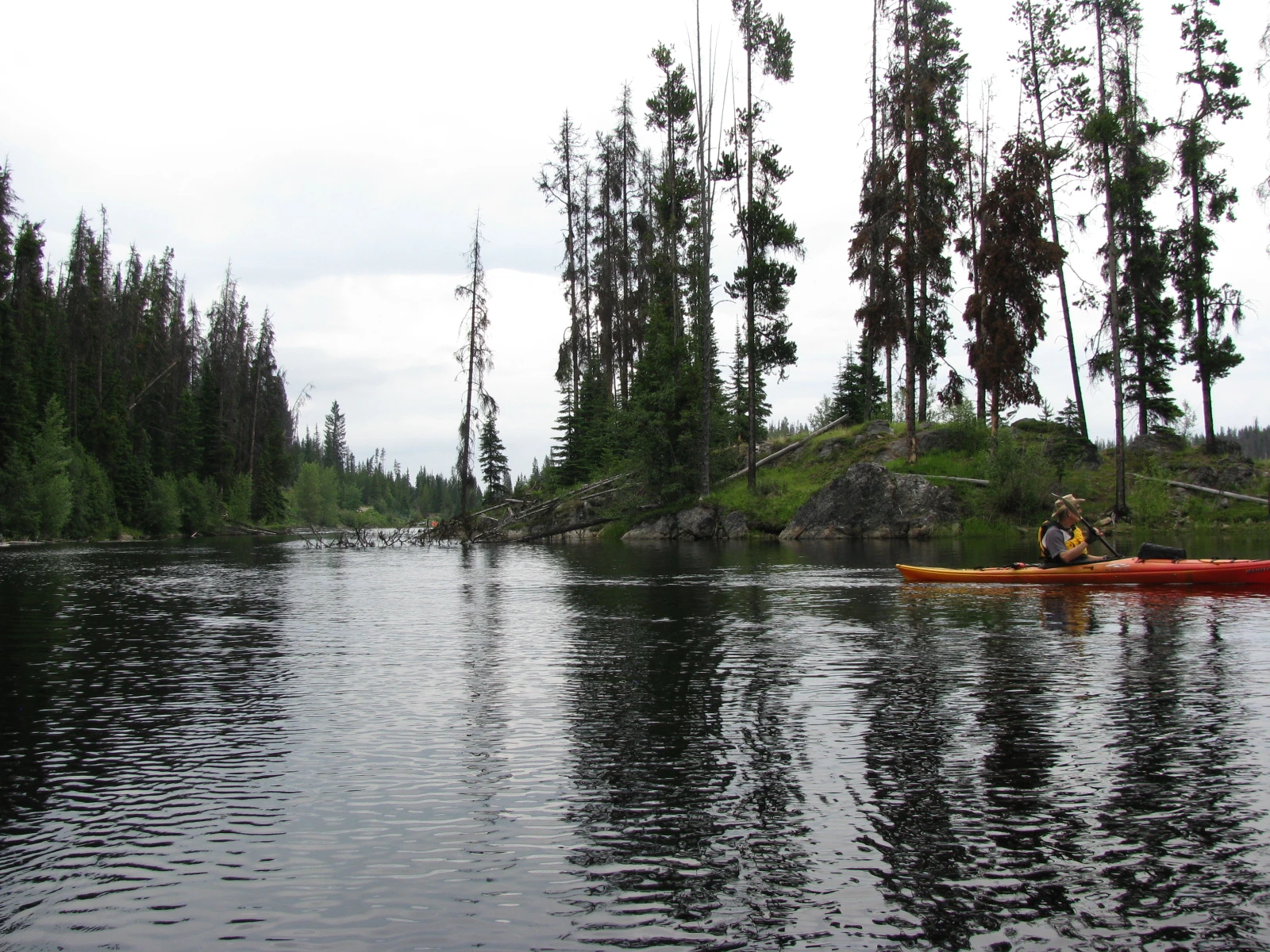 Photo: Recreation Sites and Trails BC. © Province of British Columbia, licensed under the Open Government Licence – British Columbia. King Edward Lake North, photo 7