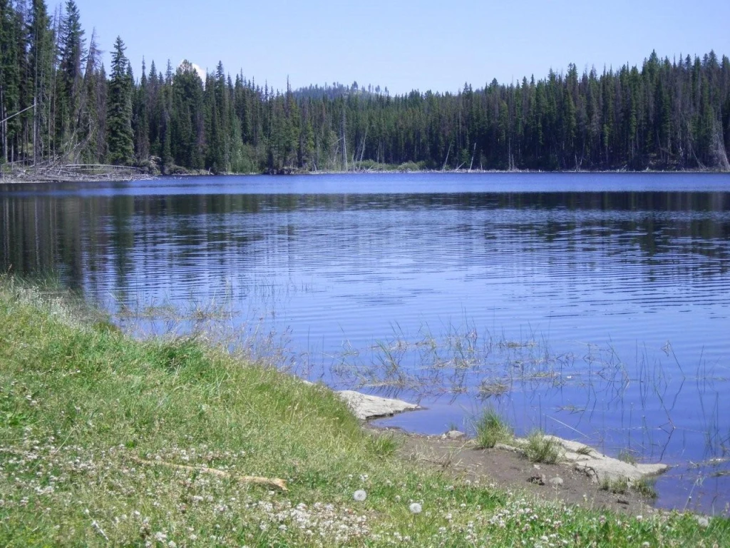 Photo: Recreation Sites and Trails BC. © Province of British Columbia, licensed under the Open Government Licence – British Columbia. Damer Lake, photo 2