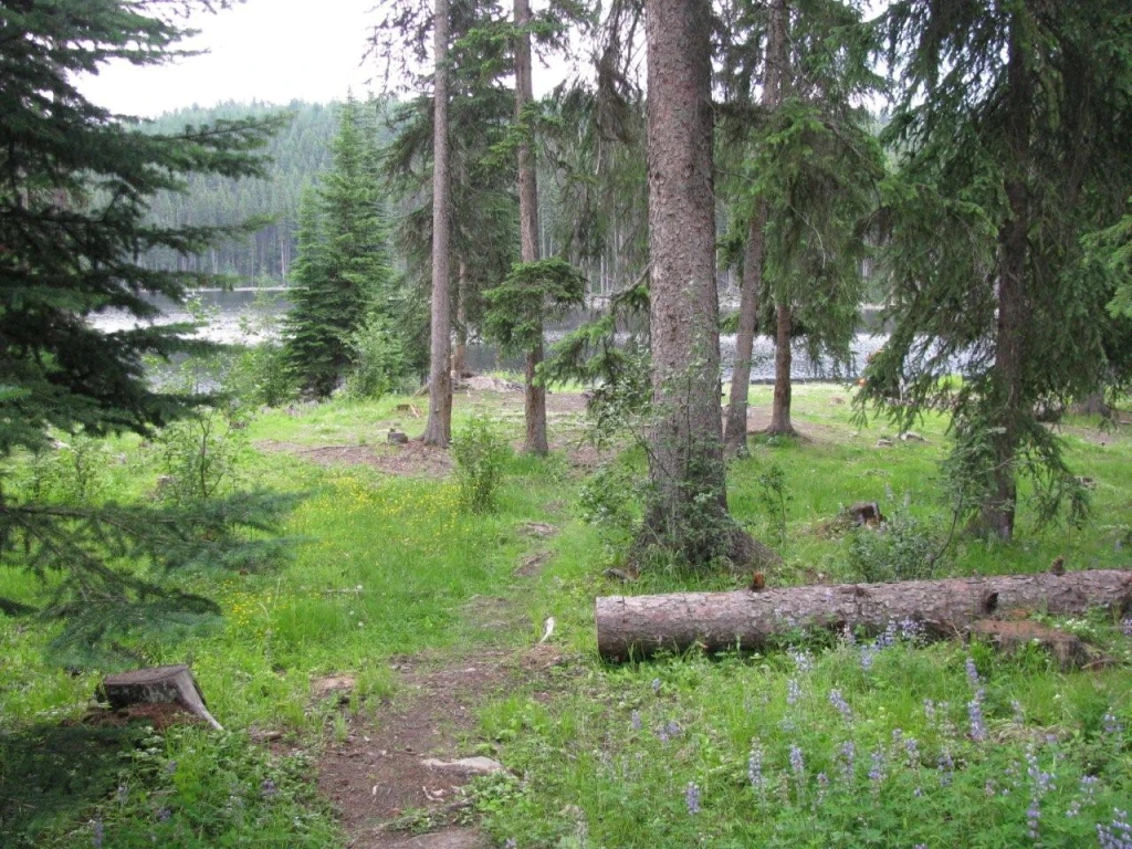 Photo: Recreation Sites and Trails BC. © Province of British Columbia, licensed under the Open Government Licence – British Columbia. Damer Lake, photo 5