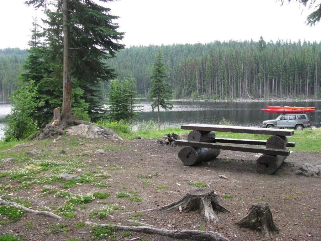 Photo: Recreation Sites and Trails BC. © Province of British Columbia, licensed under the Open Government Licence – British Columbia. Damer Lake, photo 3