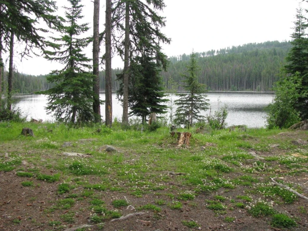 Photo: Recreation Sites and Trails BC. © Province of British Columbia, licensed under the Open Government Licence – British Columbia. Damer Lake, photo 4