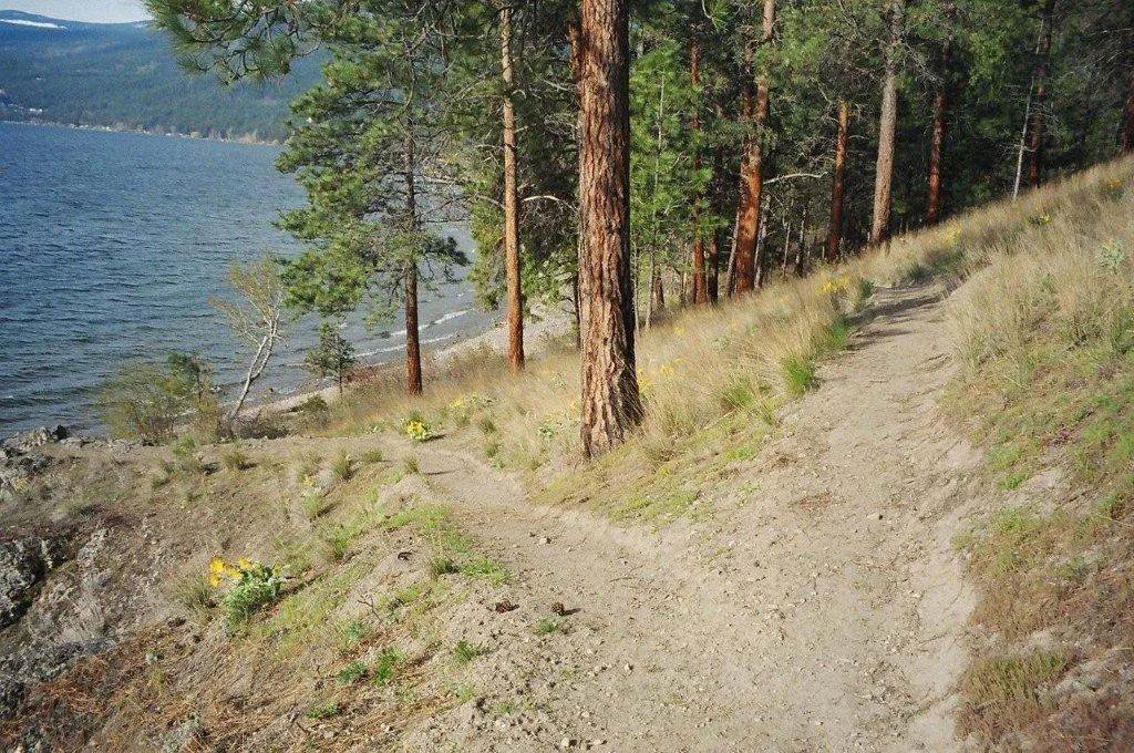 Photo: Recreation Sites and Trails BC. © Province of British Columbia, licensed under the Open Government Licence – British Columbia. Evely, photo 10