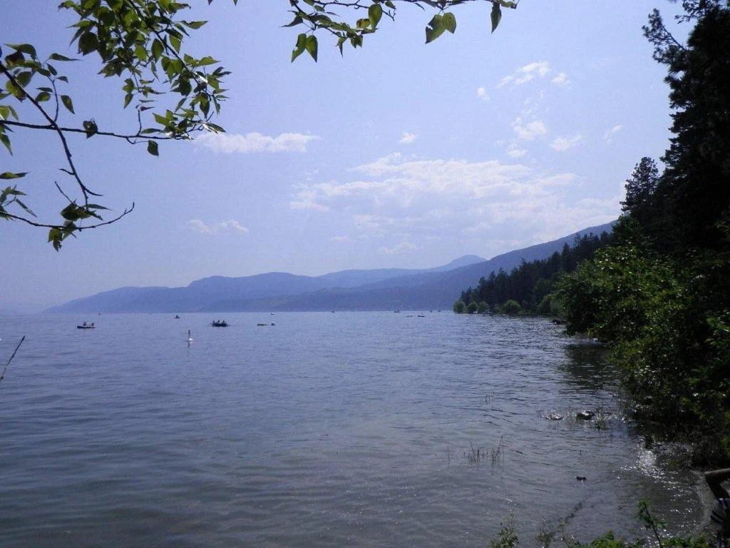 Photo: Recreation Sites and Trails BC. © Province of British Columbia, licensed under the Open Government Licence – British Columbia. Evely, photo 4