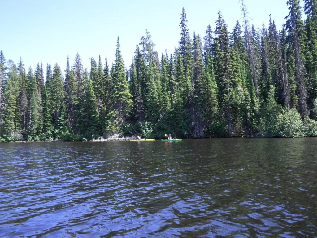 Photo: Recreation Sites and Trails BC. © Province of British Columbia, licensed under the Open Government Licence – British Columbia. Bouleau Lake, photo 6
