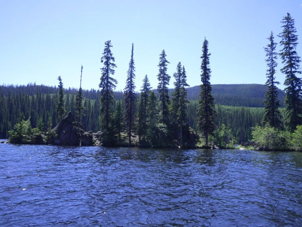 Photo: Recreation Sites and Trails BC. © Province of British Columbia, licensed under the Open Government Licence – British Columbia. Bouleau Lake, photo 5