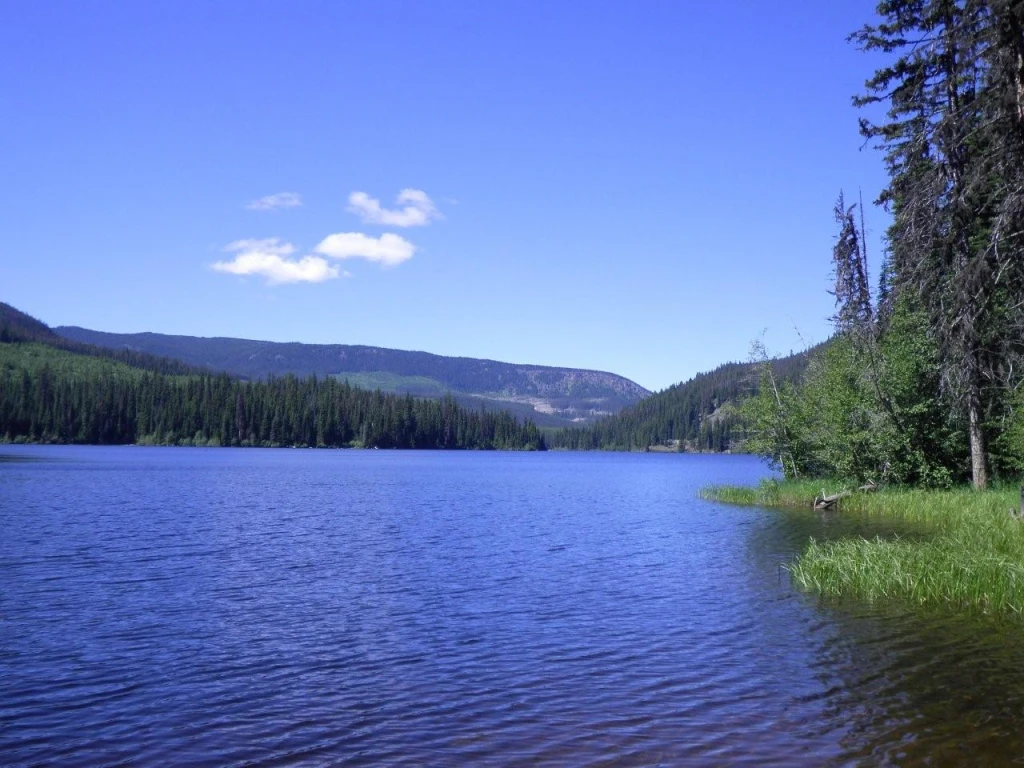 Photo: Recreation Sites and Trails BC. © Province of British Columbia, licensed under the Open Government Licence – British Columbia. Bouleau Lake, photo 3