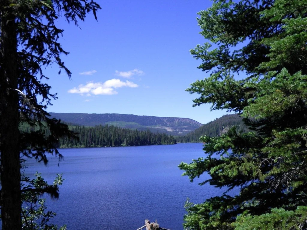 Photo: Recreation Sites and Trails BC. © Province of British Columbia, licensed under the Open Government Licence – British Columbia. Bouleau Lake, photo 2