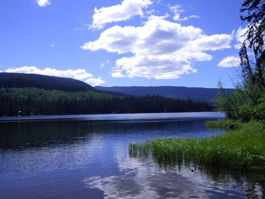 Photo: Recreation Sites and Trails BC. © Province of British Columbia, licensed under the Open Government Licence – British Columbia. Bouleau Lake, photo 8