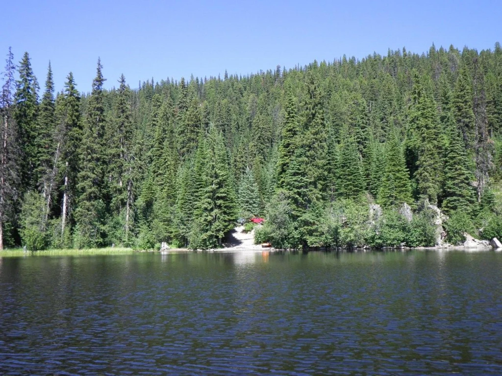 Photo: Recreation Sites and Trails BC. © Province of British Columbia, licensed under the Open Government Licence – British Columbia. Bouleau Lake, photo 7