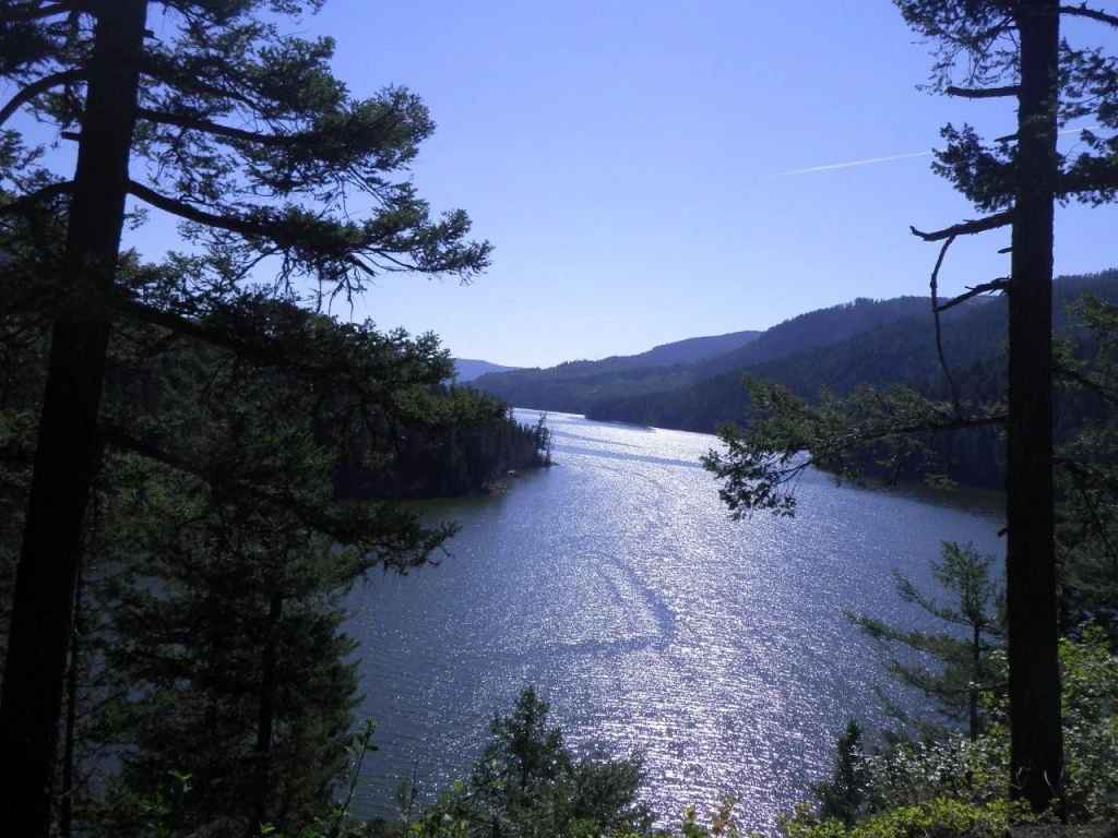 Pinaus Lake North