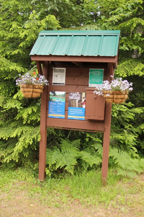 Photo: Recreation Sites and Trails BC. © Province of British Columbia, licensed under the Open Government Licence – British Columbia. Downie Creek, photo 8