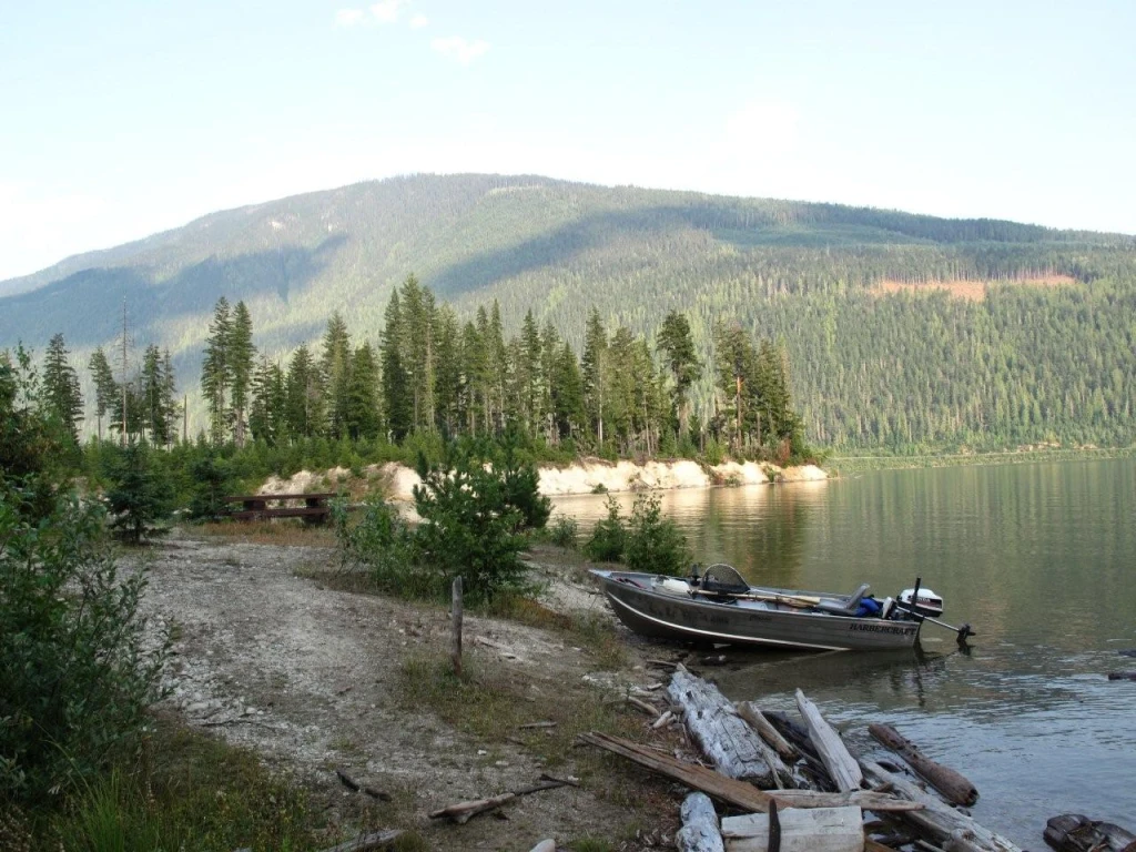 Photo: Recreation Sites and Trails BC. © Province of British Columbia, licensed under the Open Government Licence – British Columbia. Downie Creek, photo 1