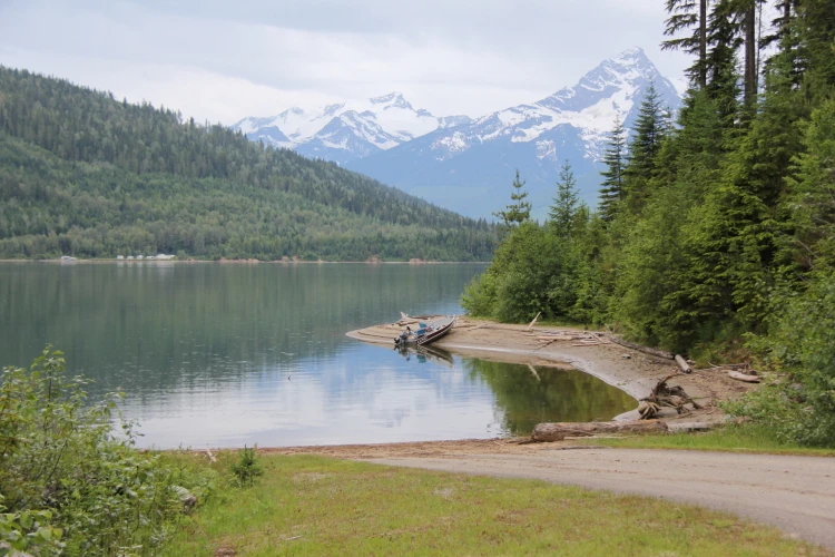 Photo: Recreation Sites and Trails BC. © Province of British Columbia, licensed under the Open Government Licence – British Columbia. Downie Creek, photo 10