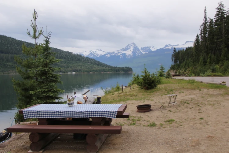 Photo: Recreation Sites and Trails BC. © Province of British Columbia, licensed under the Open Government Licence – British Columbia. Downie Creek, photo 11
