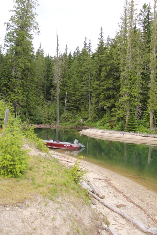 Photo: Recreation Sites and Trails BC. © Province of British Columbia, licensed under the Open Government Licence – British Columbia. Downie Creek, photo 12