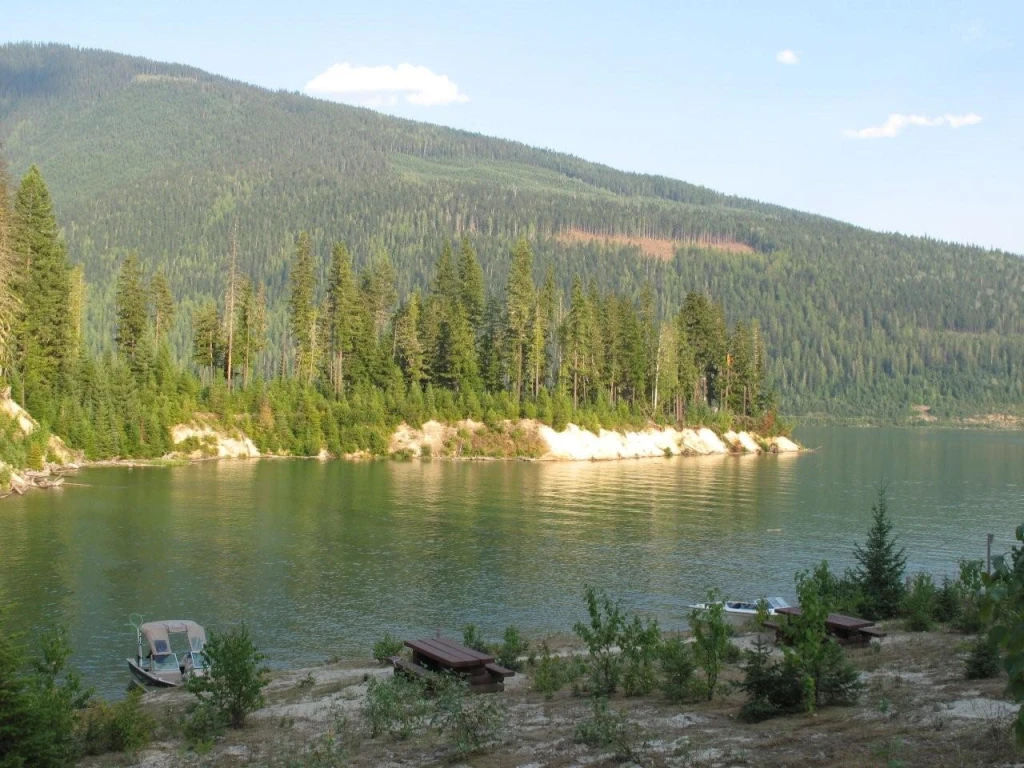 Photo: Recreation Sites and Trails BC. © Province of British Columbia, licensed under the Open Government Licence – British Columbia. Downie Creek, photo 4