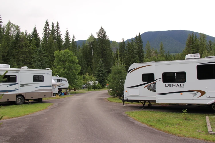 Photo: Recreation Sites and Trails BC. © Province of British Columbia, licensed under the Open Government Licence – British Columbia. Downie Creek, photo 9