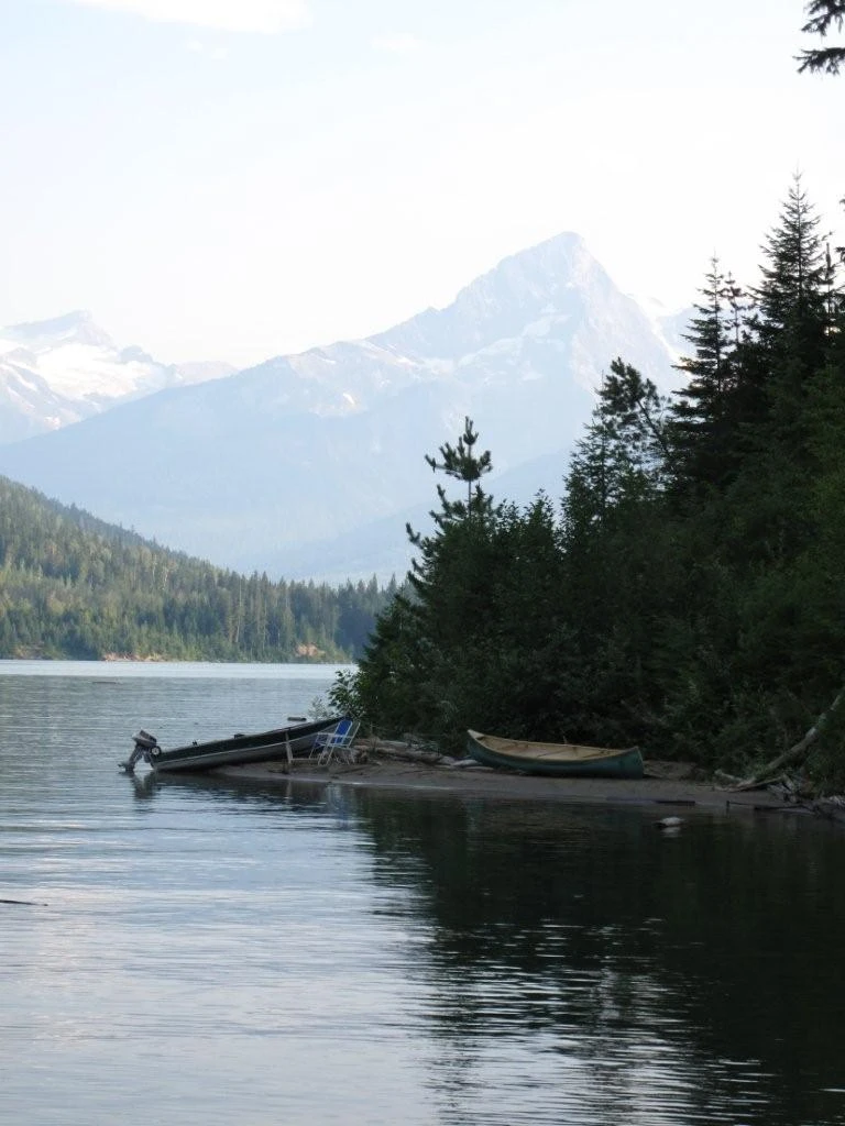 Photo: Recreation Sites and Trails BC. © Province of British Columbia, licensed under the Open Government Licence – British Columbia. Downie Creek, photo 3