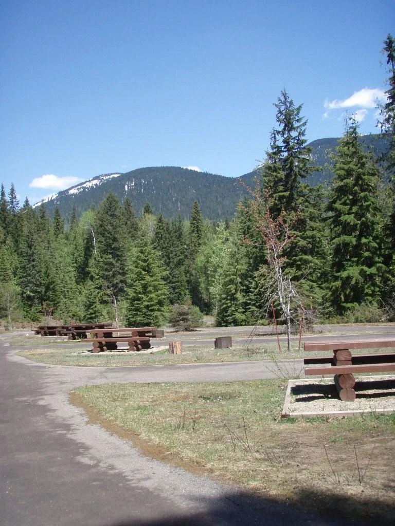 Photo: Recreation Sites and Trails BC. © Province of British Columbia, licensed under the Open Government Licence – British Columbia. Downie Creek, photo 5