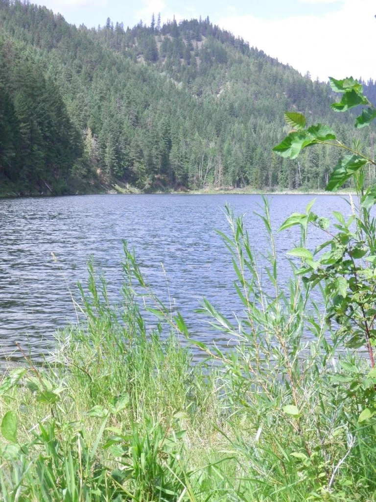 Photo: Recreation Sites and Trails BC. © Province of British Columbia, licensed under the Open Government Licence – British Columbia. Joyce Lake