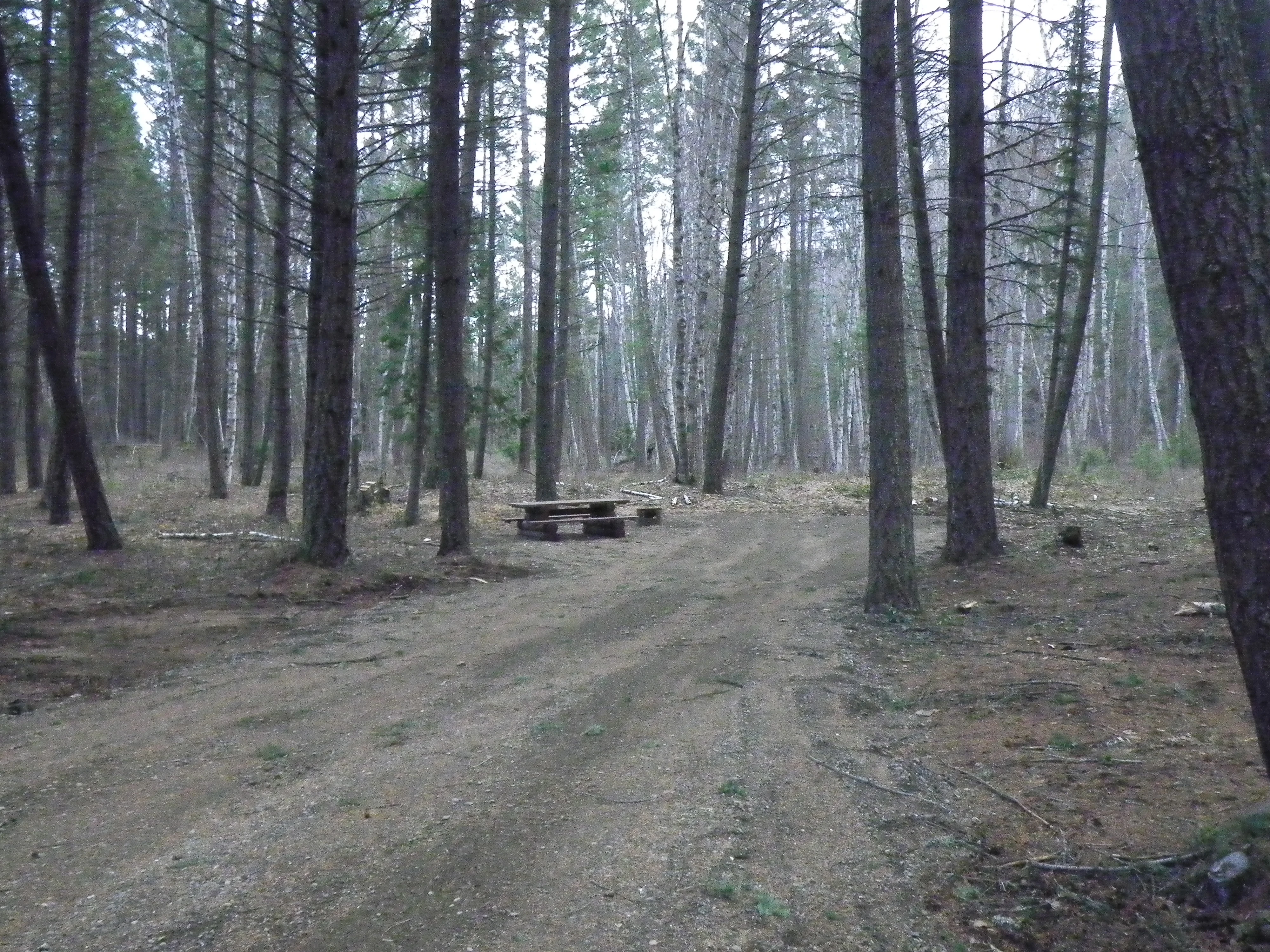 Photo: Recreation Sites and Trails BC. © Province of British Columbia, licensed under the Open Government Licence – British Columbia. Joyce Lake, photo 5