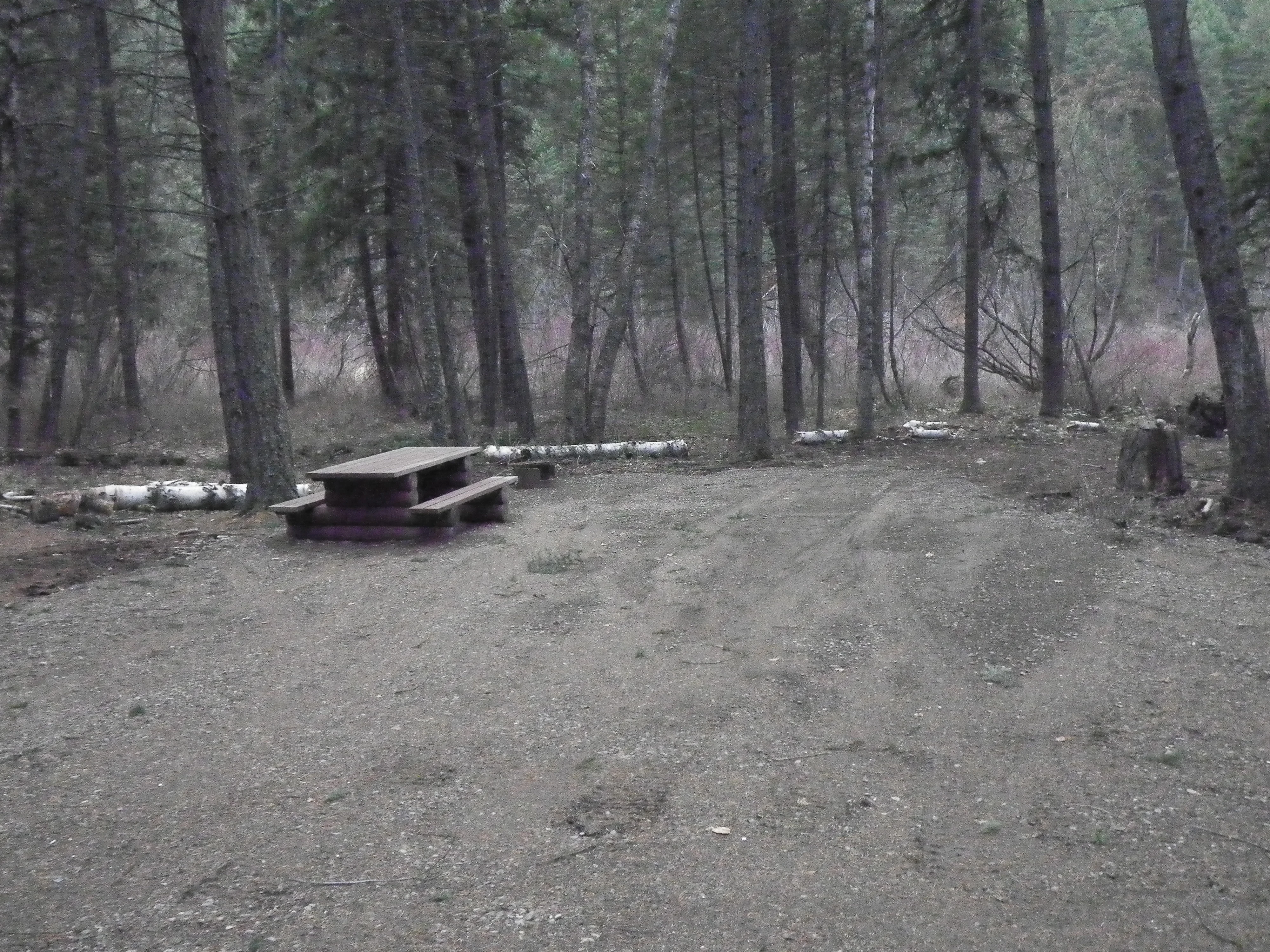 Photo: Recreation Sites and Trails BC. © Province of British Columbia, licensed under the Open Government Licence – British Columbia. Joyce Lake, photo 4