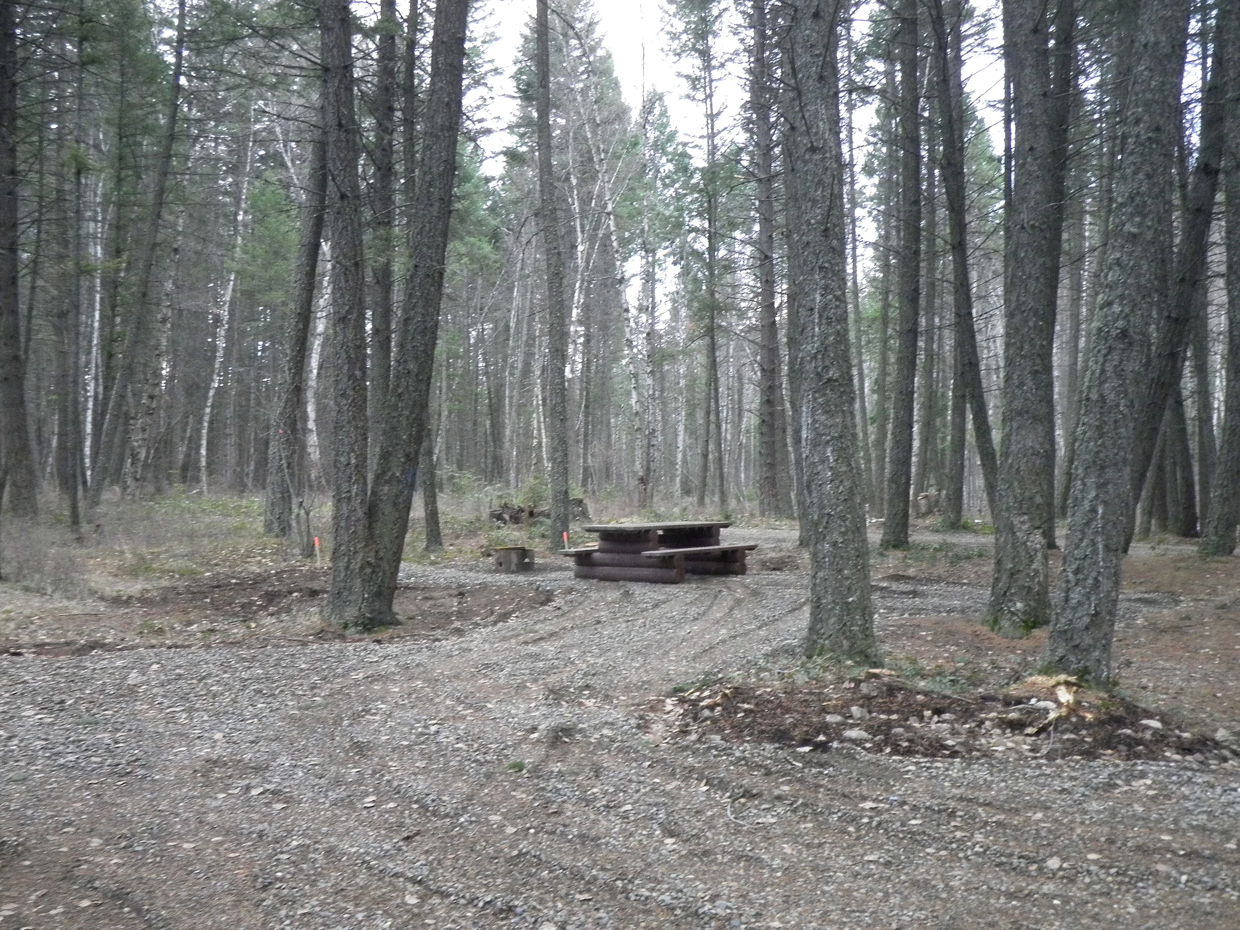 Photo: Recreation Sites and Trails BC. © Province of British Columbia, licensed under the Open Government Licence – British Columbia. Joyce Lake, photo 6
