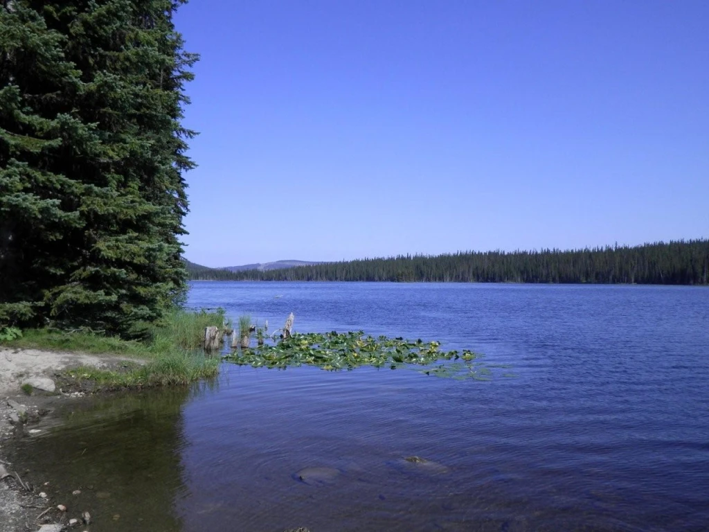 Photo: Recreation Sites and Trails BC. © Province of British Columbia, licensed under the Open Government Licence – British Columbia. Bolean Lake