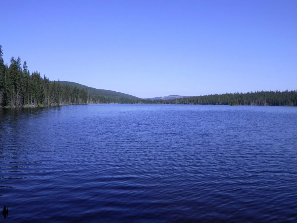 Photo: Recreation Sites and Trails BC. © Province of British Columbia, licensed under the Open Government Licence – British Columbia. Bolean Lake, photo 3