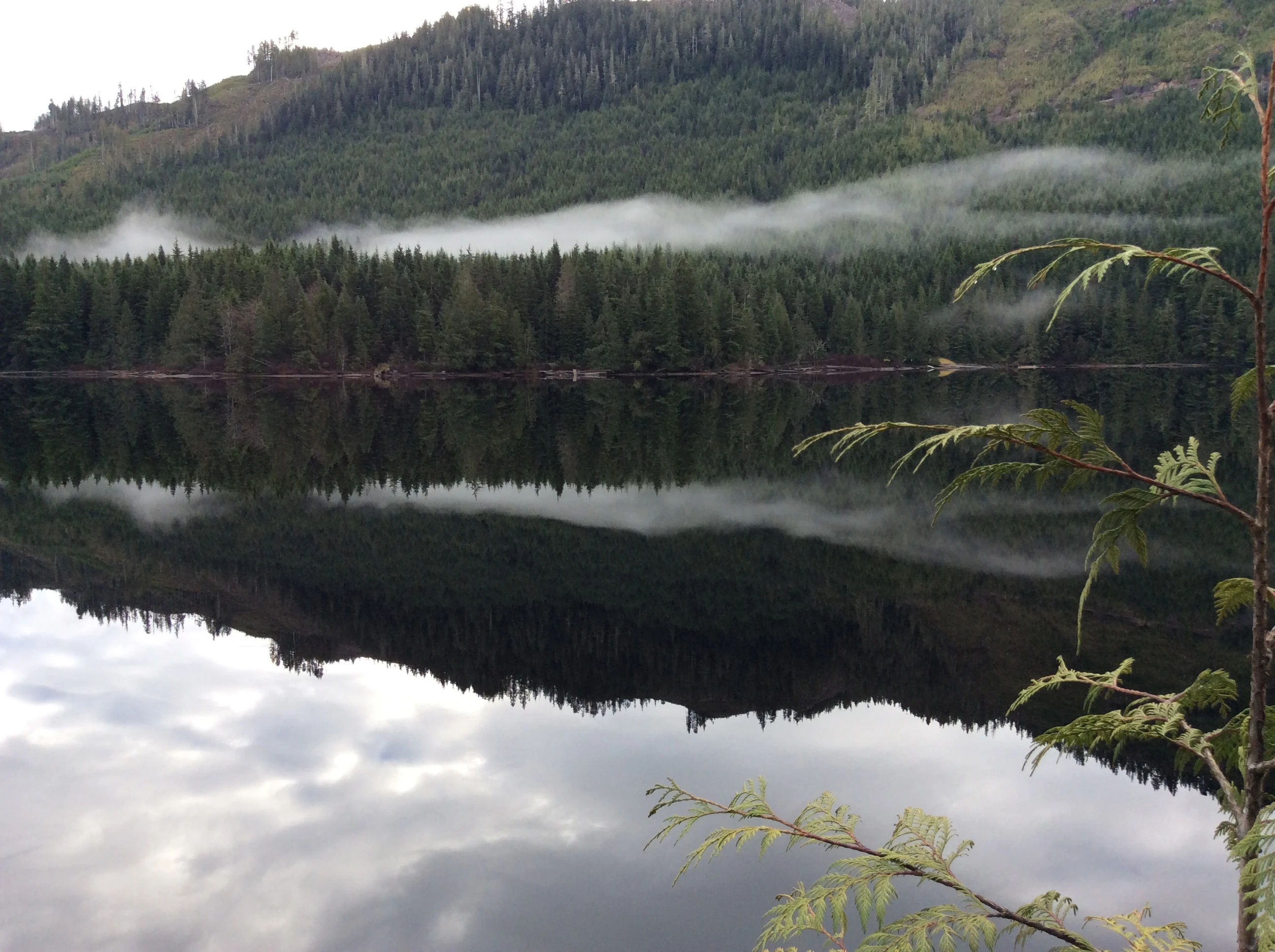 Photo: Recreation Sites and Trails BC. © Province of British Columbia, licensed under the Open Government Licence – British Columbia. Clint Beek (Keogh Lake), photo 3