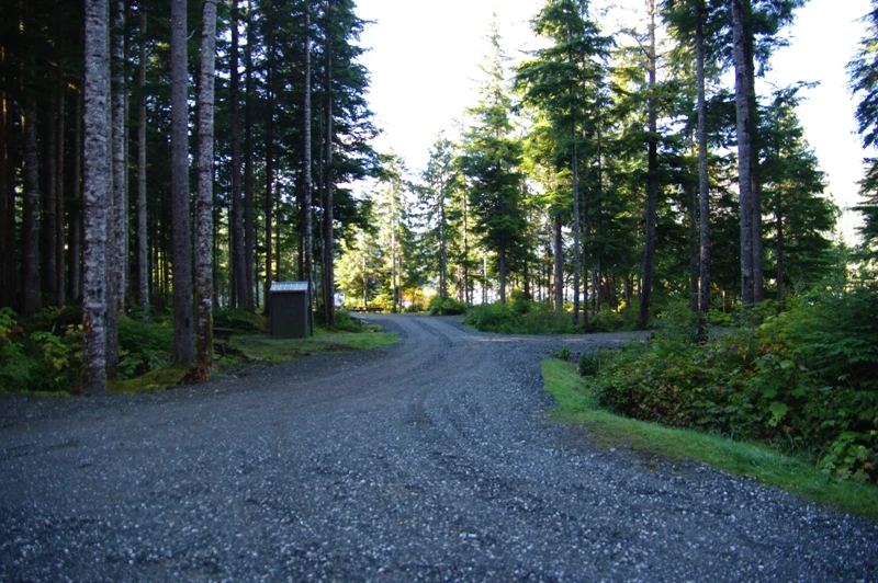 Photo: Recreation Sites and Trails BC. © Province of British Columbia, licensed under the Open Government Licence – British Columbia. Clint Beek (Keogh Lake), photo 8