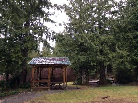 Photo: Recreation Sites and Trails BC. © Province of British Columbia, licensed under the Open Government Licence – British Columbia. Clint Beek (Keogh Lake), photo 5