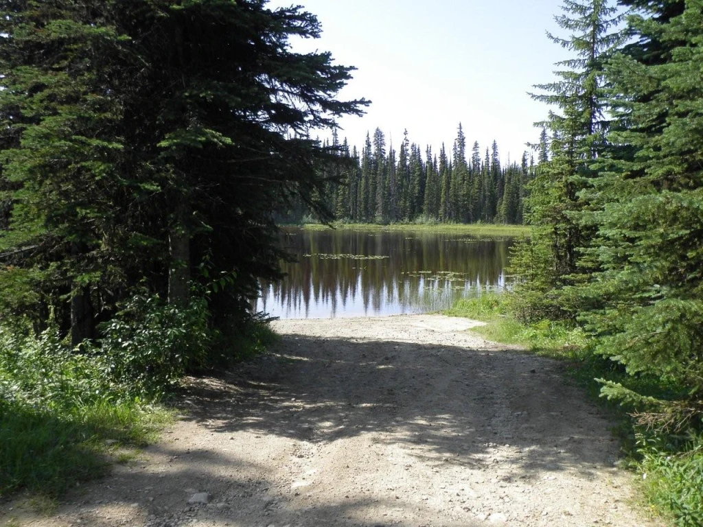 Photo: Recreation Sites and Trails BC. © Province of British Columbia, licensed under the Open Government Licence – British Columbia. Arthur Lake North