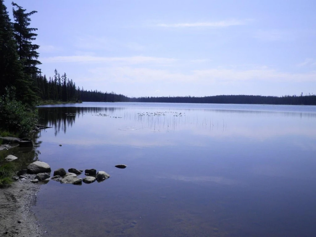 Photo: Recreation Sites and Trails BC. © Province of British Columbia, licensed under the Open Government Licence – British Columbia. Arthur Lake North, photo 3