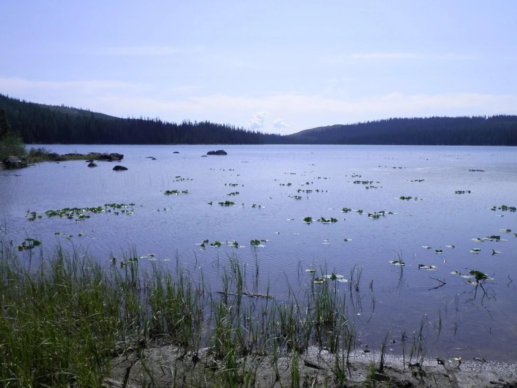 Photo: Recreation Sites and Trails BC. © Province of British Columbia, licensed under the Open Government Licence – British Columbia. Spa Lake, photo 6