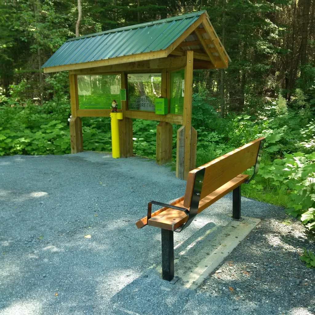 Photo: Recreation Sites and Trails BC. © Province of British Columbia, licensed under the Open Government Licence – British Columbia. Tabor Mtn. Staging Area 10 (Dougherty Creek), photo 5