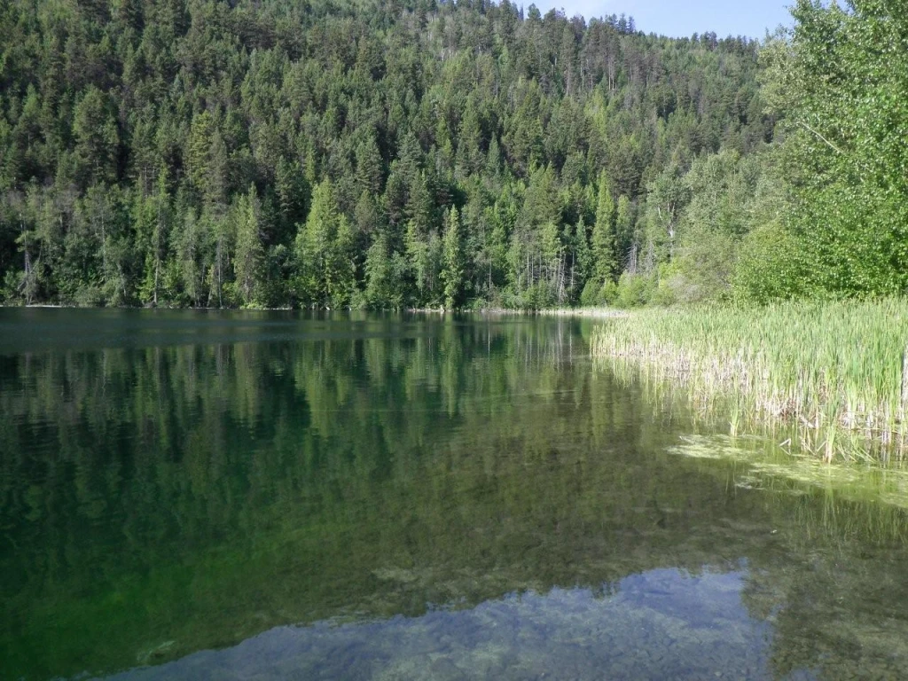 Photo: Recreation Sites and Trails BC. © Province of British Columbia, licensed under the Open Government Licence – British Columbia. Spanish Lake, photo 4
