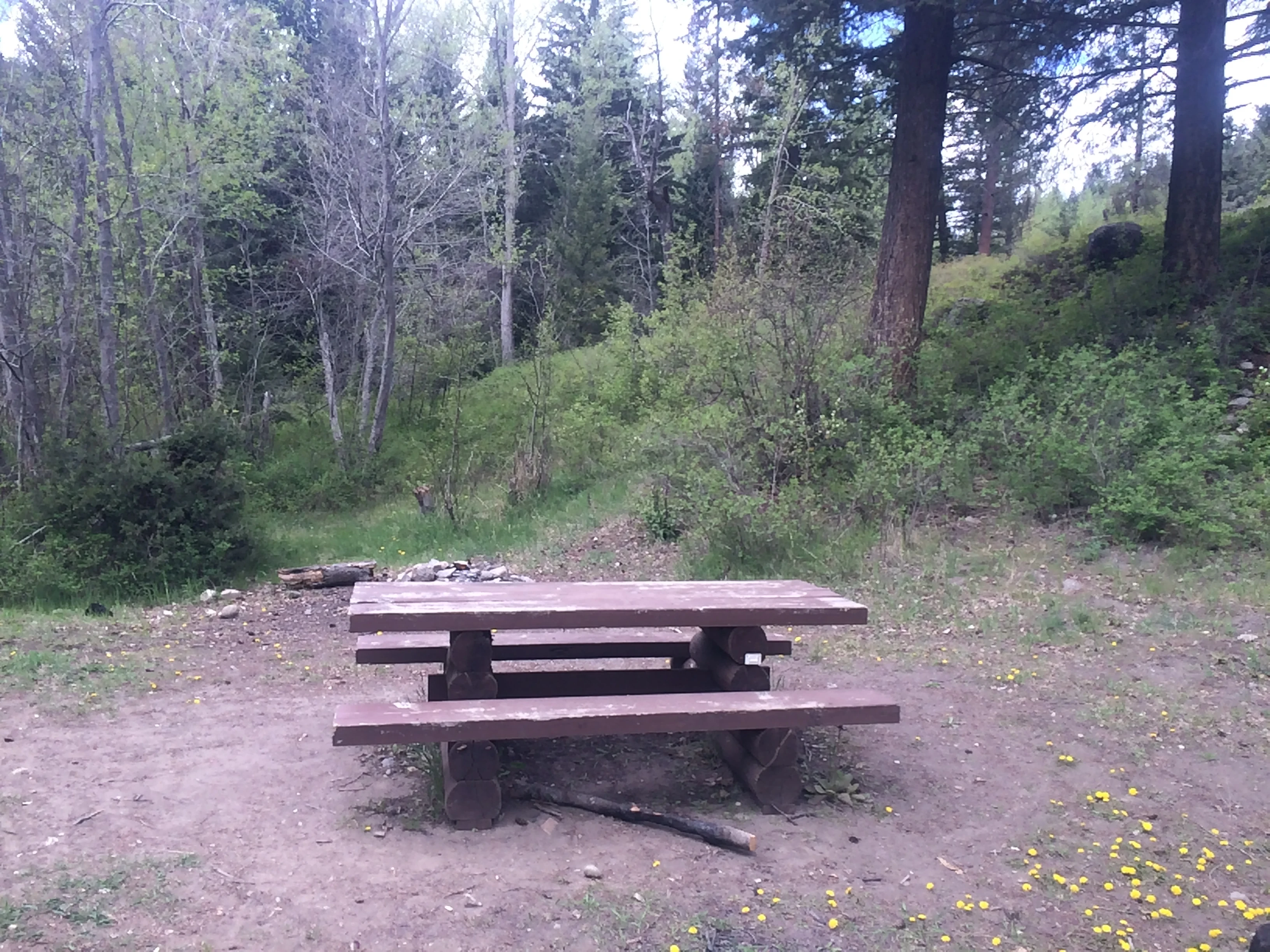 Photo: Recreation Sites and Trails BC. © Province of British Columbia, licensed under the Open Government Licence – British Columbia. Crump, photo 2