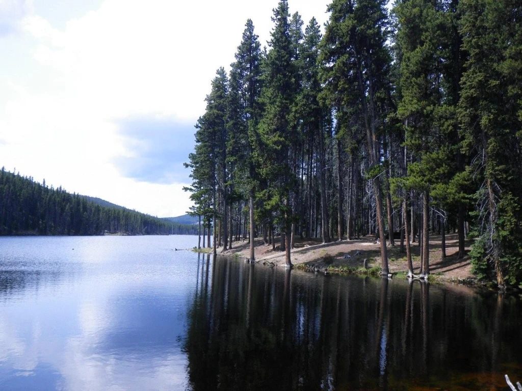 Photo: Recreation Sites and Trails BC. © Province of British Columbia, licensed under the Open Government Licence – British Columbia. Isintok Lake, photo 3