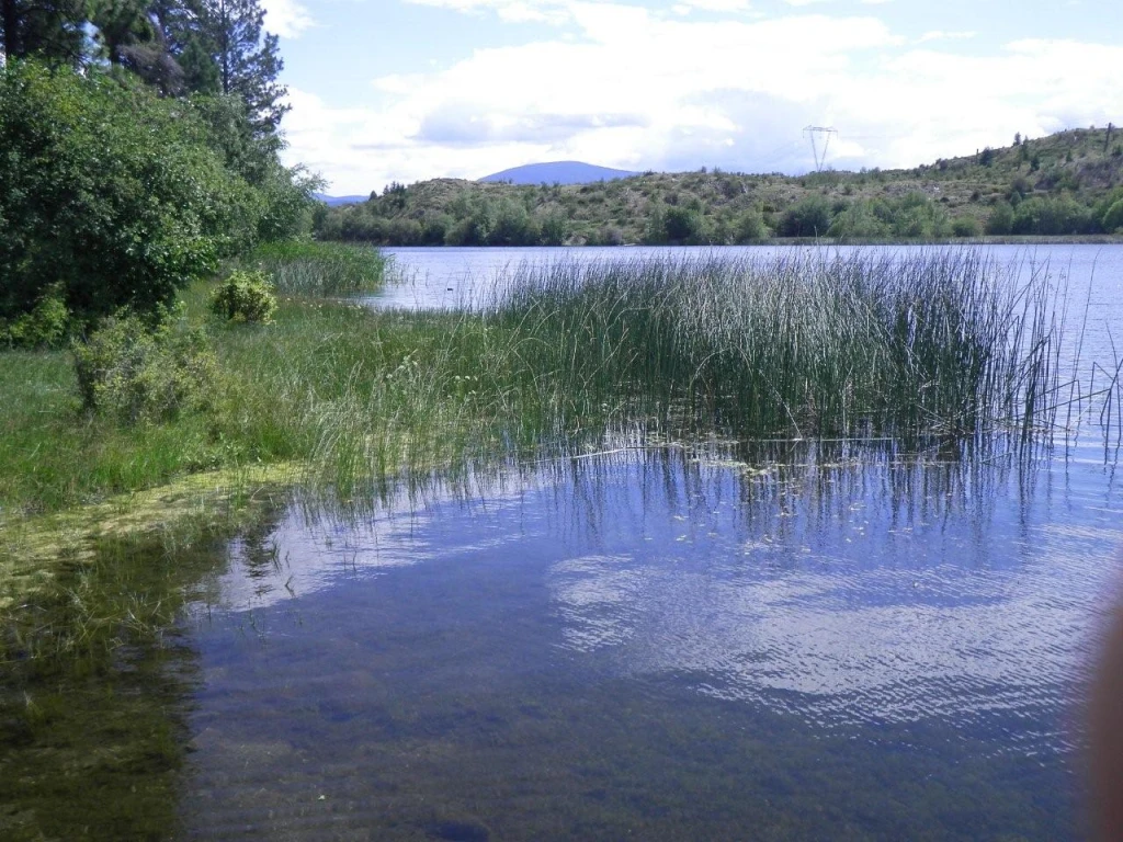 Photo: Recreation Sites and Trails BC. © Province of British Columbia, licensed under the Open Government Licence – British Columbia. Madden Lake, photo 4