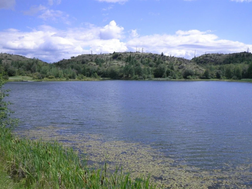 Photo: Recreation Sites and Trails BC. © Province of British Columbia, licensed under the Open Government Licence – British Columbia. Ripley Lake, photo 3